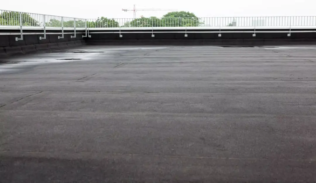 Large flat roof with perimeter guardrails